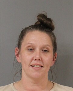 Mugshot of STEPHANIE PARTEE