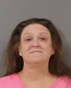 Mugshot of JULIE WATERS