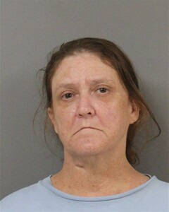 Mugshot of JULIE WATERS
