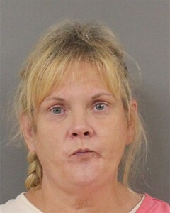 Mugshot of LISA LYNN