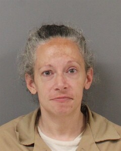 Mugshot of ERICA SHELNUT