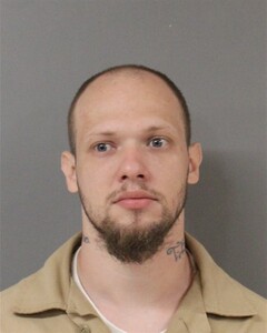 Mugshot of WILLIAM BOSNER