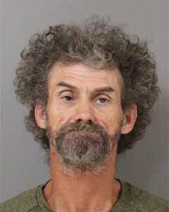 Mugshot of RANDY WOOD