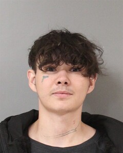 Mugshot of GRAYSON BIRGE