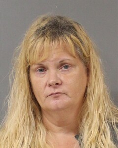 Mugshot of LISA LYNN