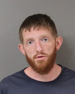 Mugshot of MATTHEW DEES
