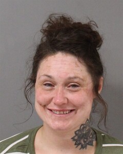 Mugshot of MEGAN MARTIN