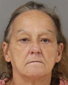 Mugshot of TINA MIKEL