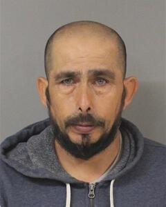 Mugshot of JOSE ROSALES