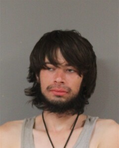 Mugshot of TREVOR FARLEY