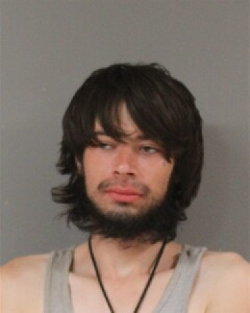 Mugshot of TREVOR FARLEY