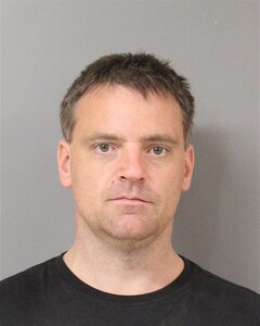 Mugshot of DANIEL WALLACE
