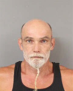 Mugshot of STEVEN GILL