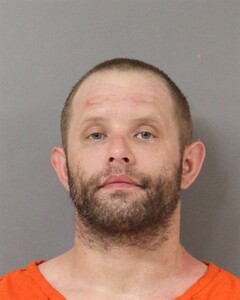 Mugshot of BRIAN KNOWLES