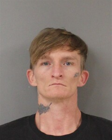 Mugshot of ANDREW GREEN