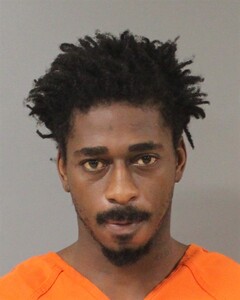 Mugshot of ARI VALENTINO MEREDITH