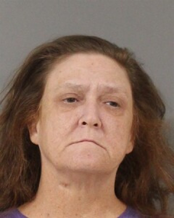 Mugshot of JULIE WATERS