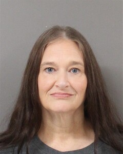 Mugshot of DONNA ARMSTRONG