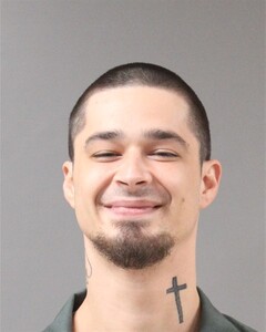 Mugshot of ZACHARY HARRIS