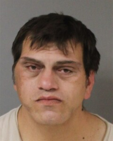 Mugshot of STEVEN SCHULTZ