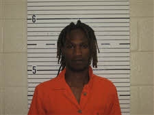 Mugshot of FREDALYN DEVON BONNER