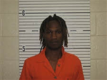 Mugshot of FREDALYN DEVON BONNER