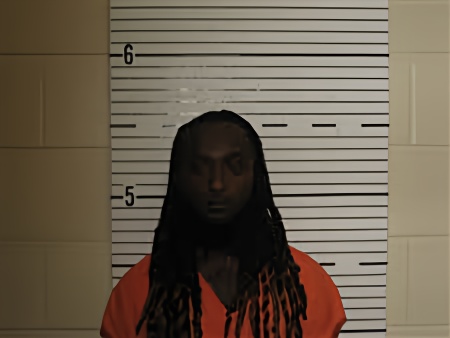 Mugshot of WANYA LOVELESS