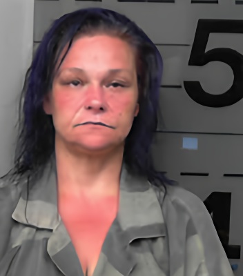 Mugshot of ALISHA SUE HOOD