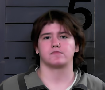 Mugshot of ALEIGHA JOHANNA PEARL GREGORY