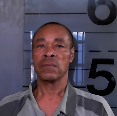 Mugshot of ROY LEE JAMES
