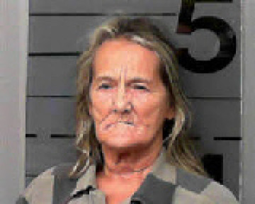 Mugshot of Brenda Snyder