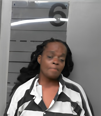 Mugshot of FELICIA ANN CHISLOM