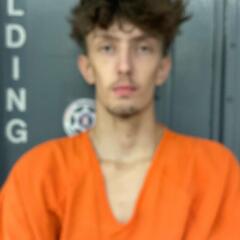 Mugshot of BRYSON DILDINE