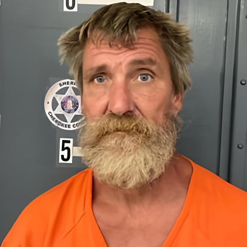 Mugshot of BRYAN HULSEY