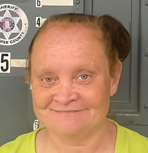 Mugshot of CHRISTY HOGUE