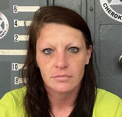 Mugshot of ASHLEY WATSON