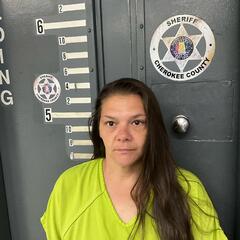 Mugshot of AMANDA KELLY