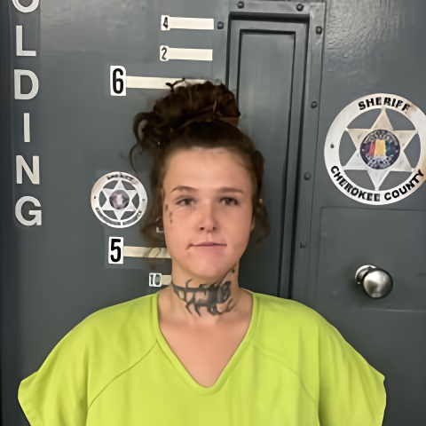 Mugshot of KAILEY WHITE
