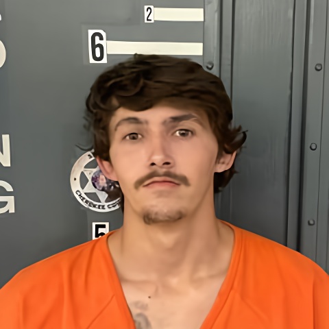 Mugshot of MIKE MCGATHA