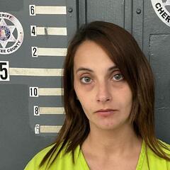Mugshot of AMANDA BRADLEY