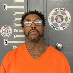Mugshot of DEVORIEN MCFARLIN