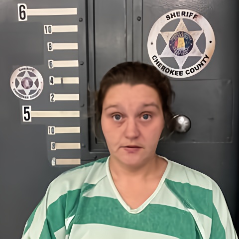 Mugshot of LACEY JONES