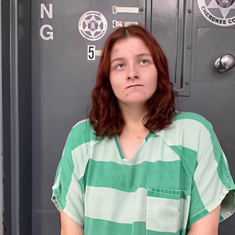Mugshot of DESTINI REESE
