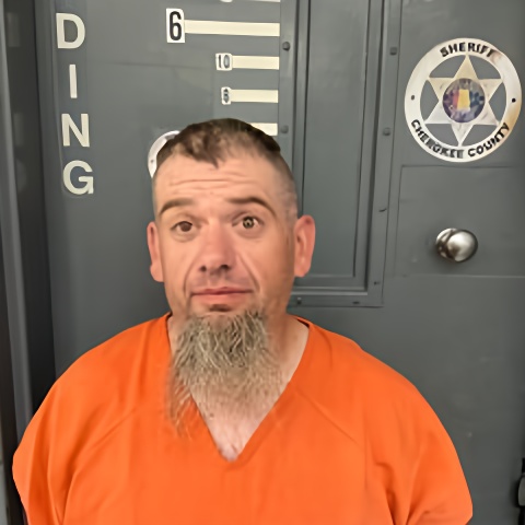 Mugshot of JAMES HARRELL