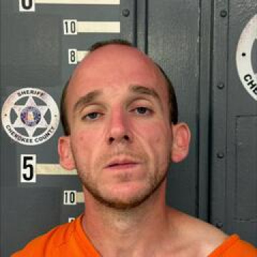 Mugshot of JAMIE ALLUMS
