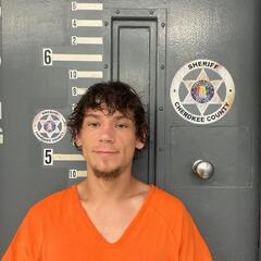Mugshot of LEVI WIGLEY