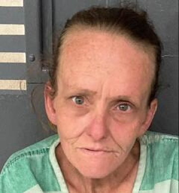 Mugshot of AUDRA CROFT