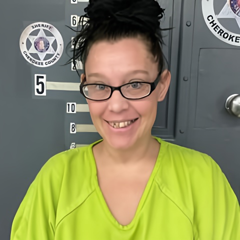 Mugshot of HEATHER ROSSER