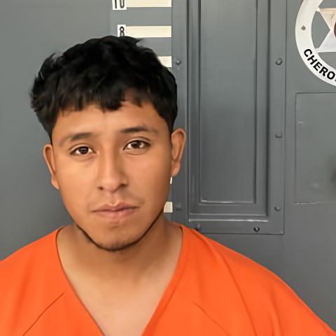 Mugshot of SEBASTIAN VICTOR-NOE