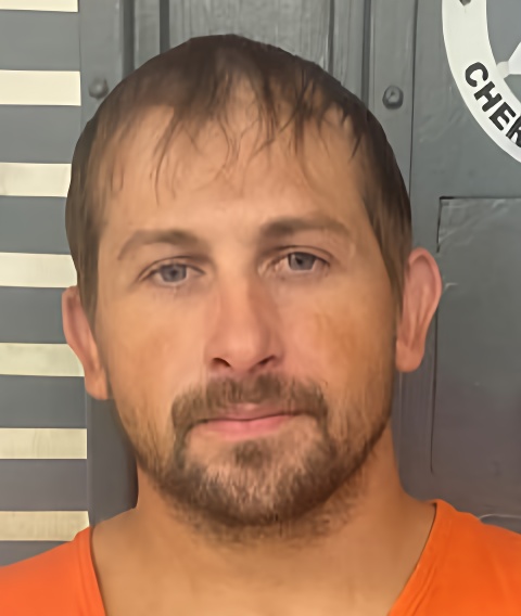 Mugshot of DILLION OCAIN